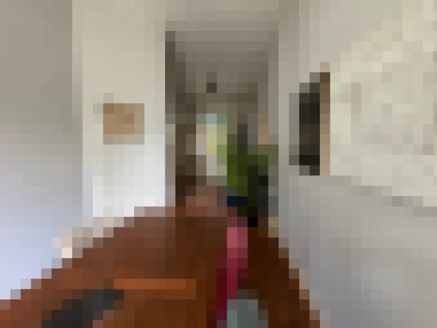 Voorstraat 22 Bad Nieuweschans thumbnail 12