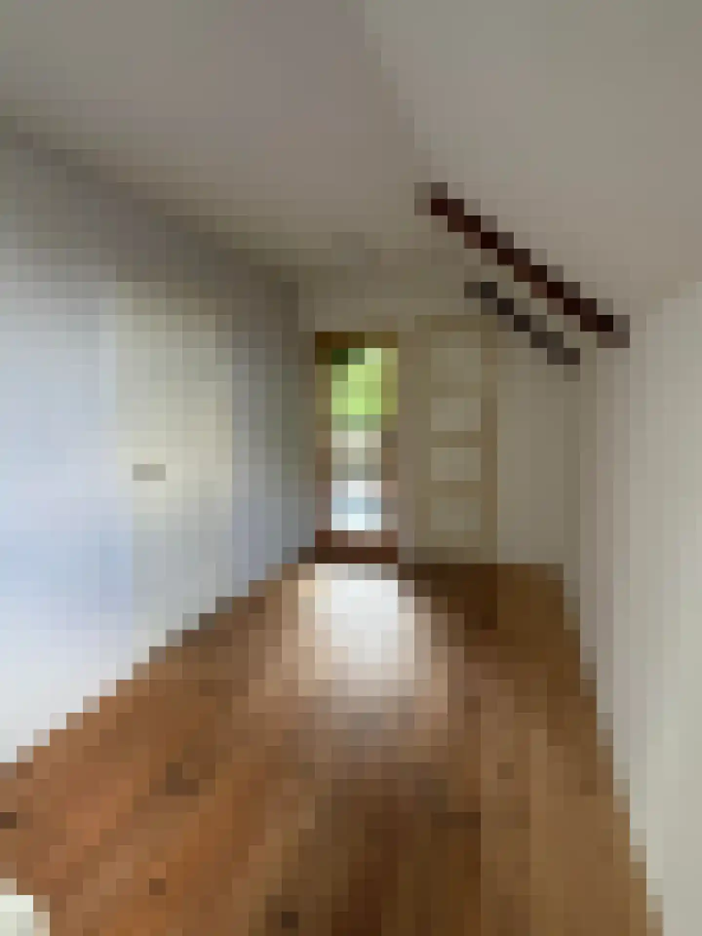 Voorstraat 22 Bad Nieuweschans thumbnail 17