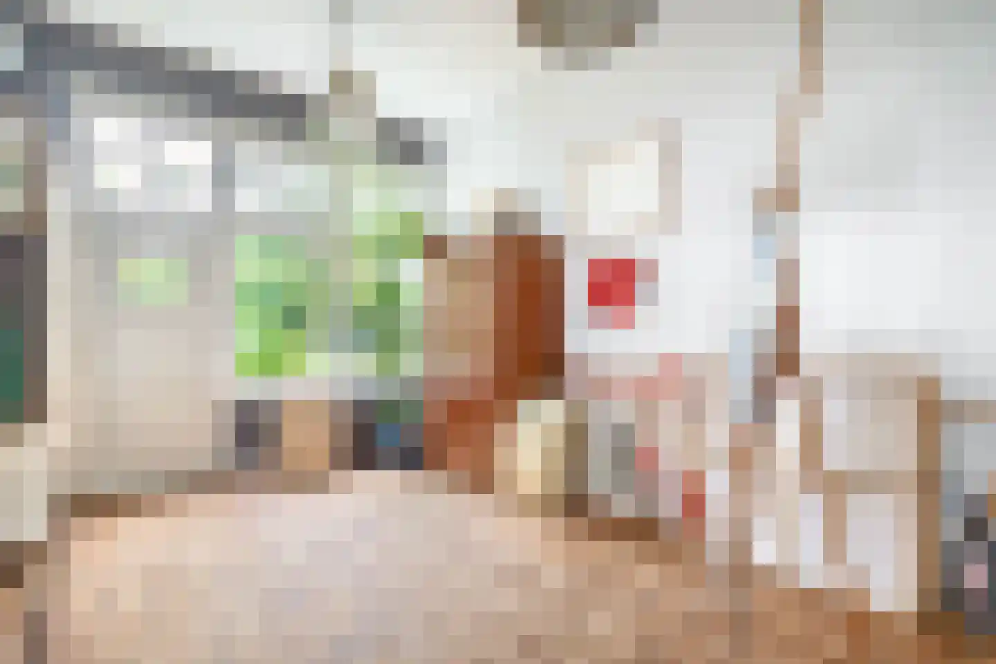Voorstraat 22 Bad Nieuweschans thumbnail 18