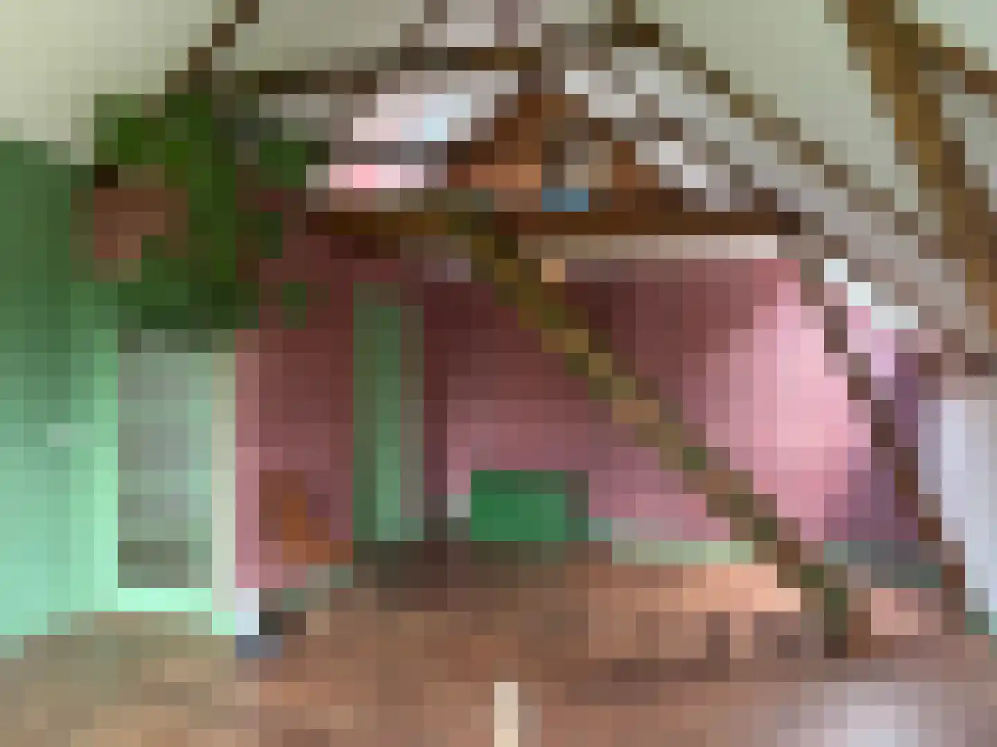 Voorstraat 22 Bad Nieuweschans thumbnail 18