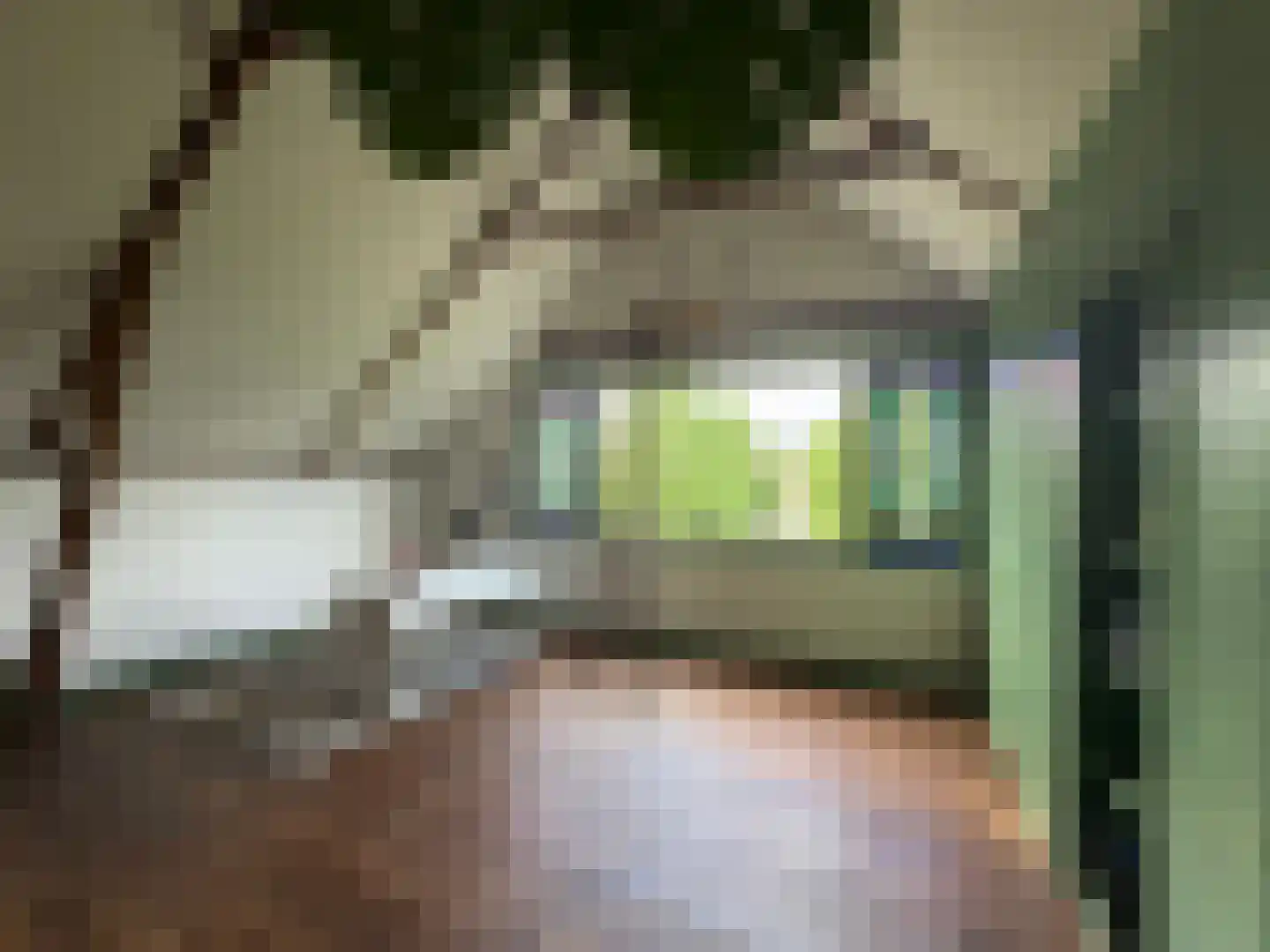 Voorstraat 22 Bad Nieuweschans thumbnail 19