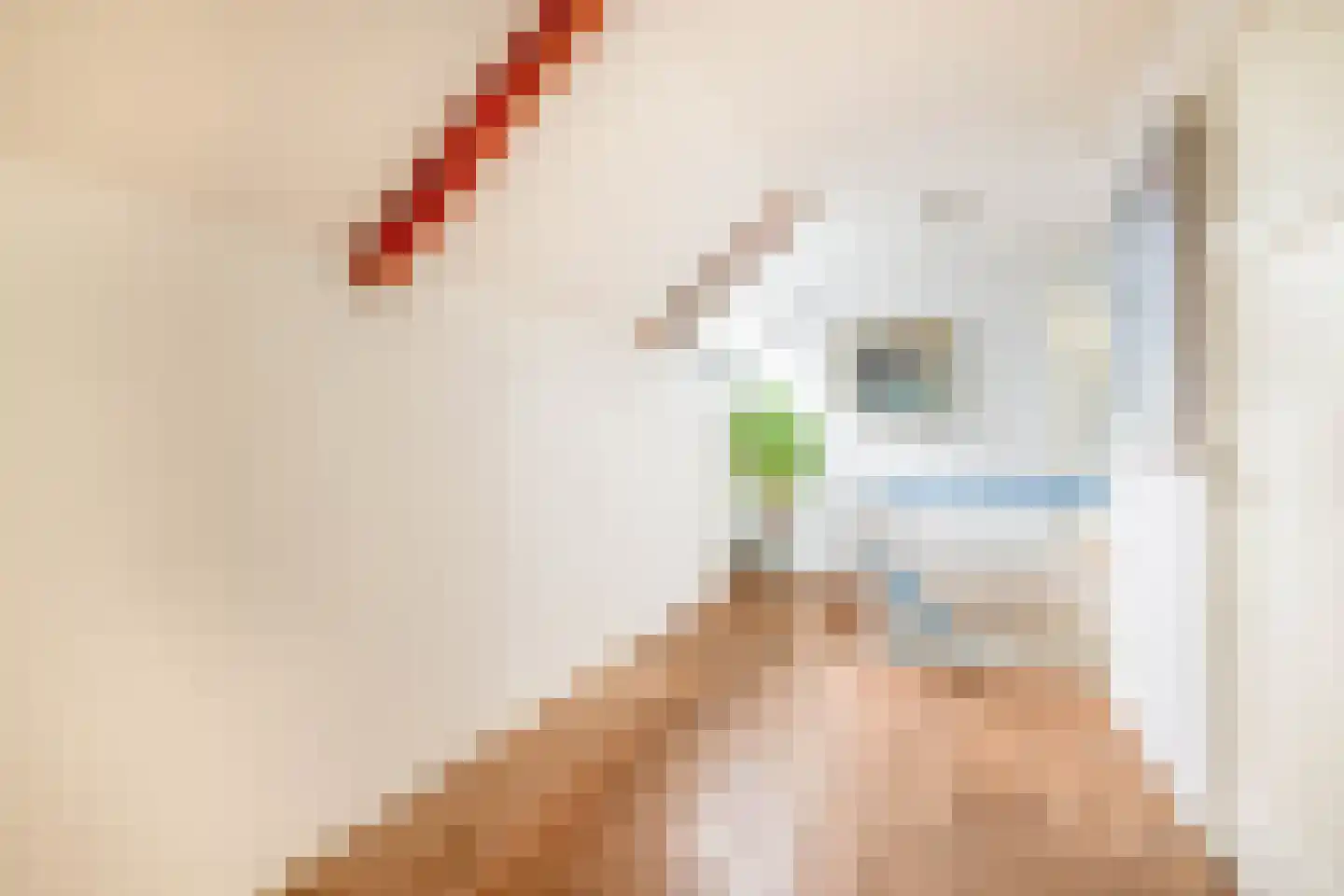 Voorstraat 22 Bad Nieuweschans thumbnail 20