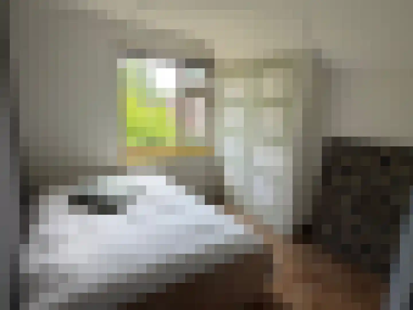 Voorstraat 22 Bad Nieuweschans thumbnail 21