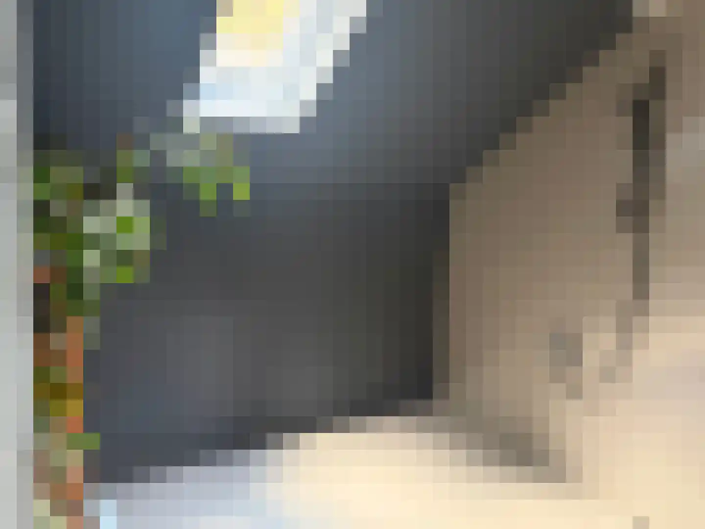 Voorstraat 22 Bad Nieuweschans thumbnail 23