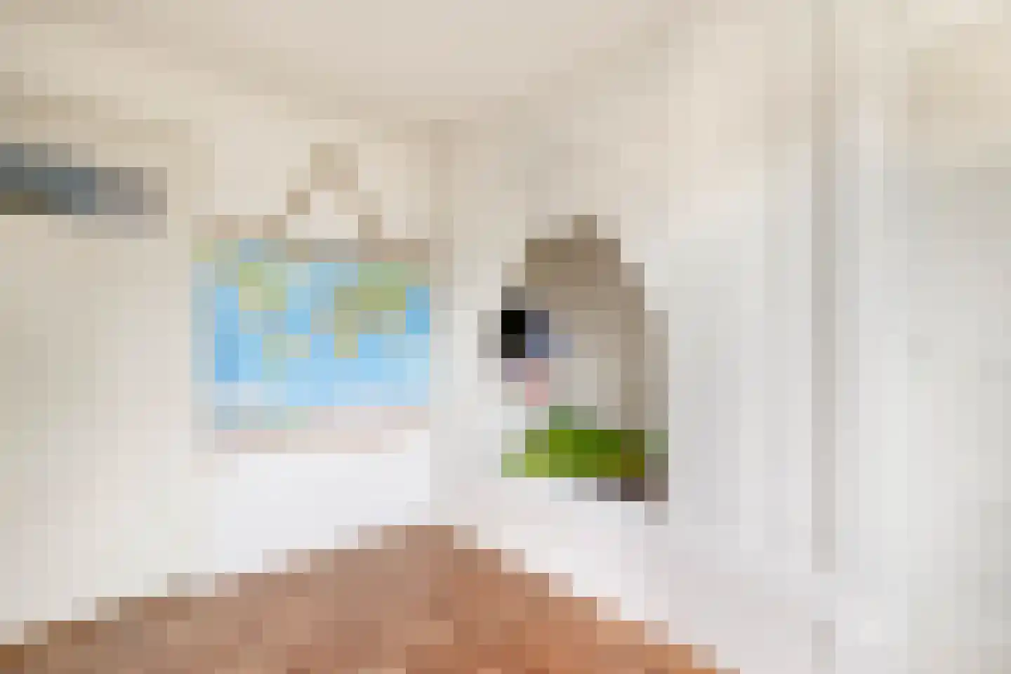 Voorstraat 22 Bad Nieuweschans thumbnail 25