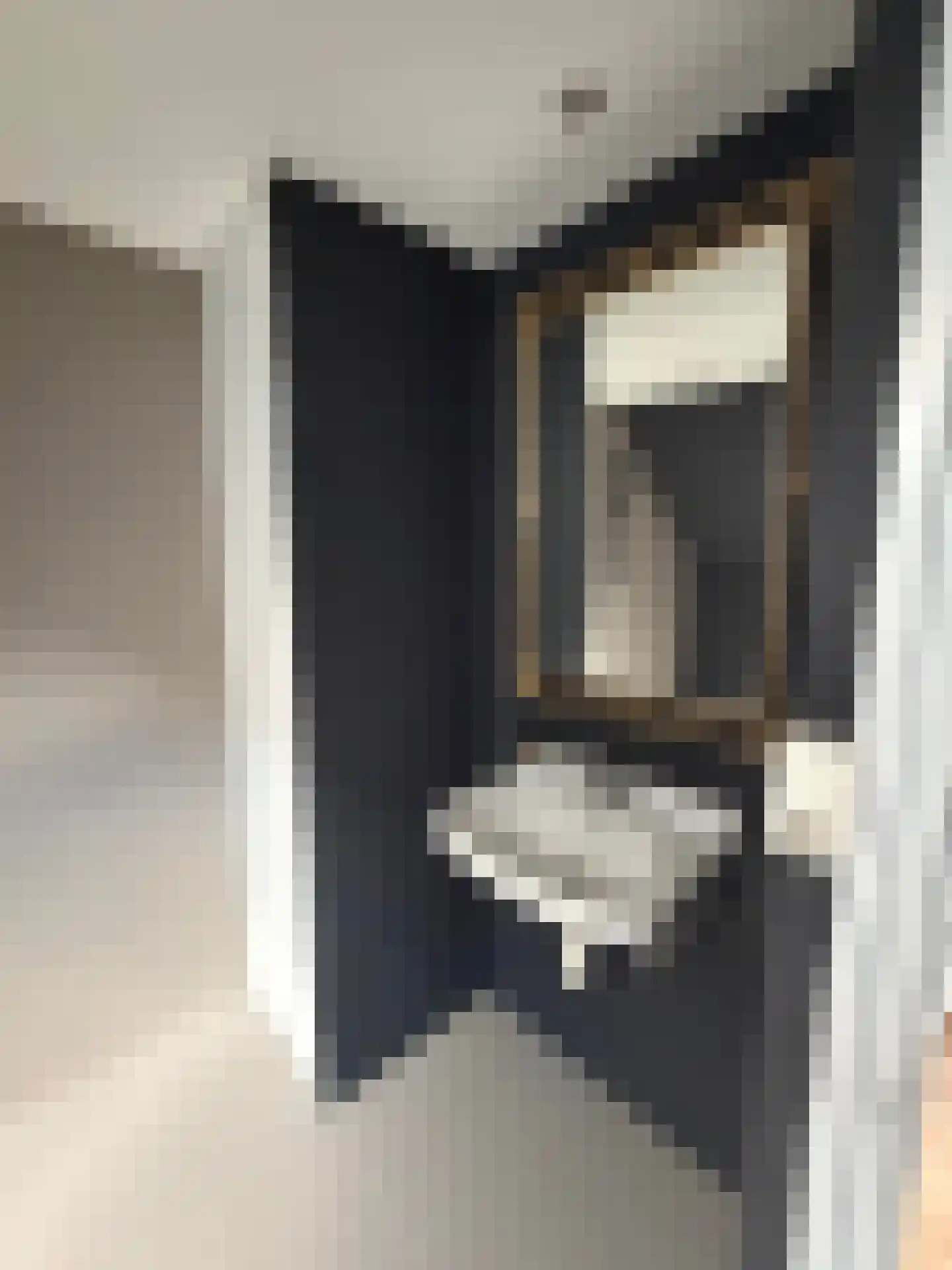 Voorstraat 22 Bad Nieuweschans thumbnail 25