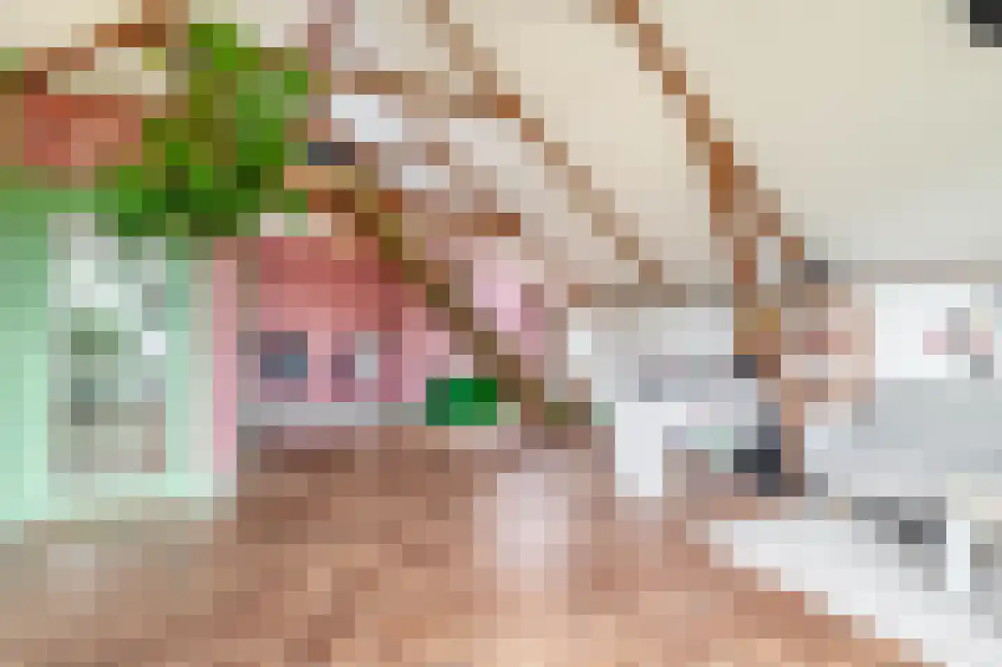 Voorstraat 22 Bad Nieuweschans thumbnail 27
