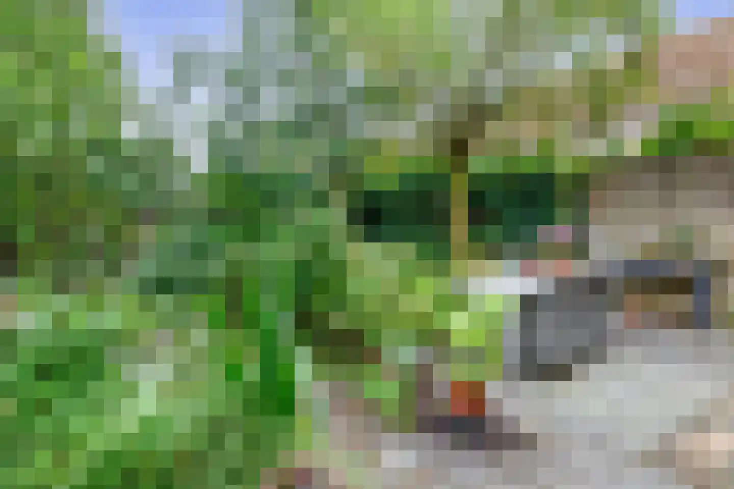 Voorstraat 22 Bad Nieuweschans thumbnail 30