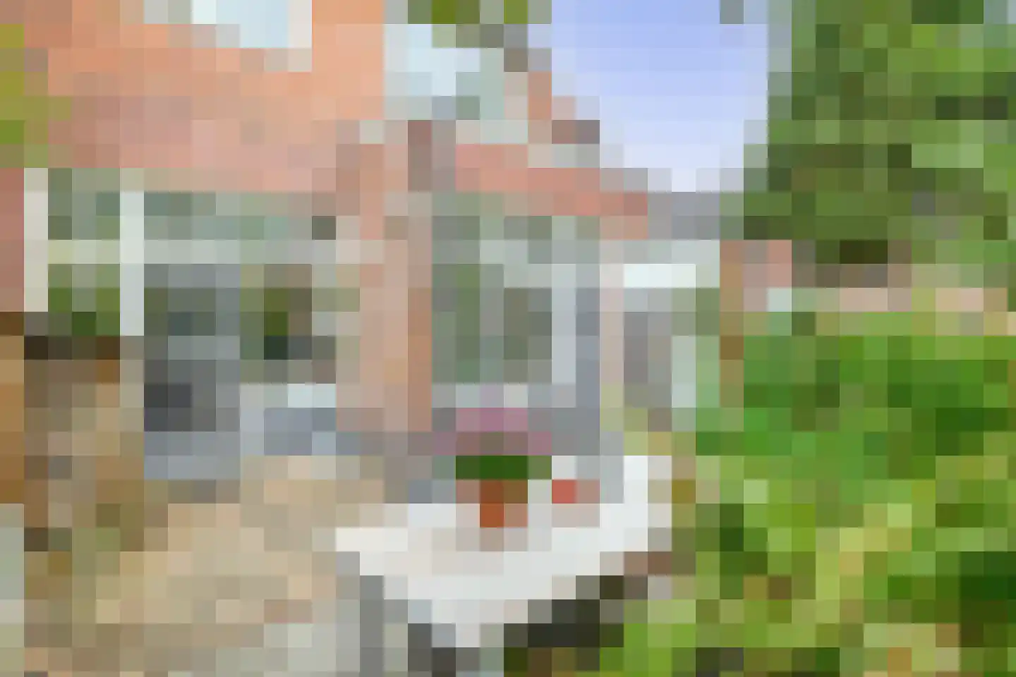 Voorstraat 22 Bad Nieuweschans thumbnail 32