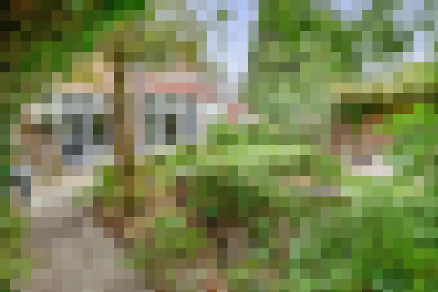 Voorstraat 22 Bad Nieuweschans thumbnail 33