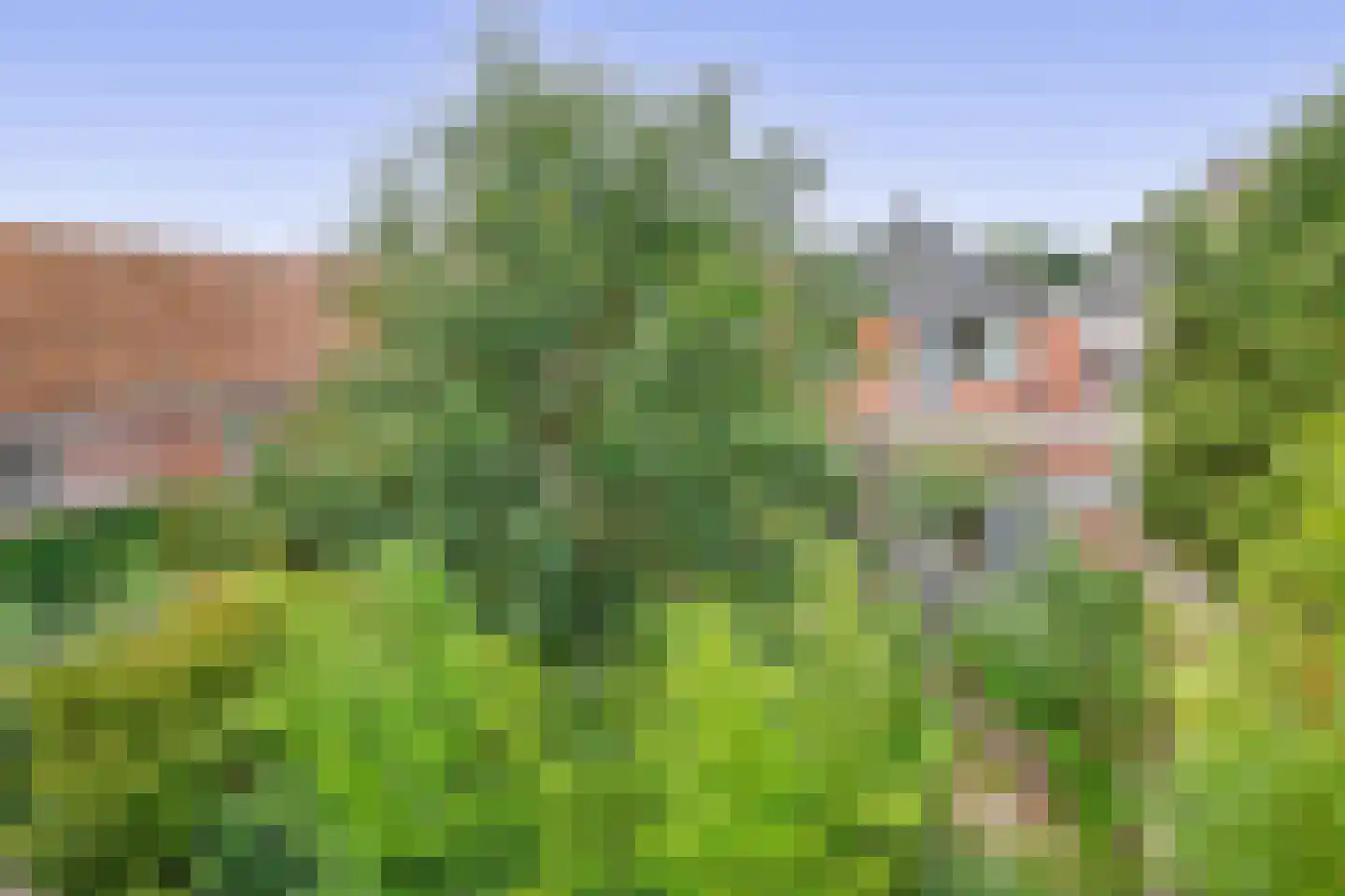 Voorstraat 22 Bad Nieuweschans thumbnail 34