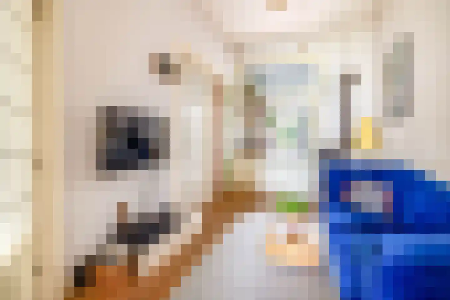 Voorstraat 22 Bad Nieuweschans thumbnail 5