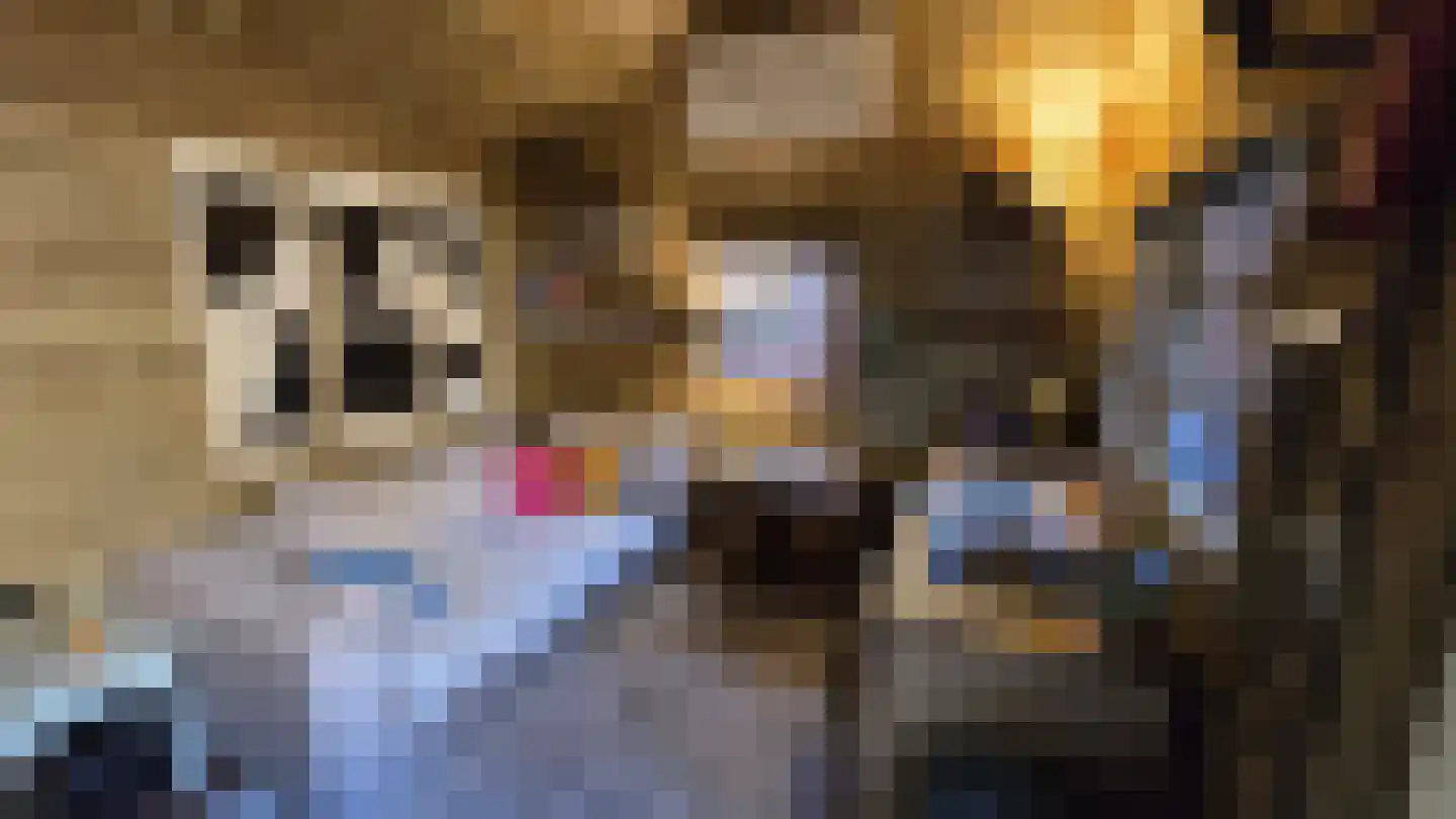 Voorstraat 22 Bad Nieuweschans thumbnail 51