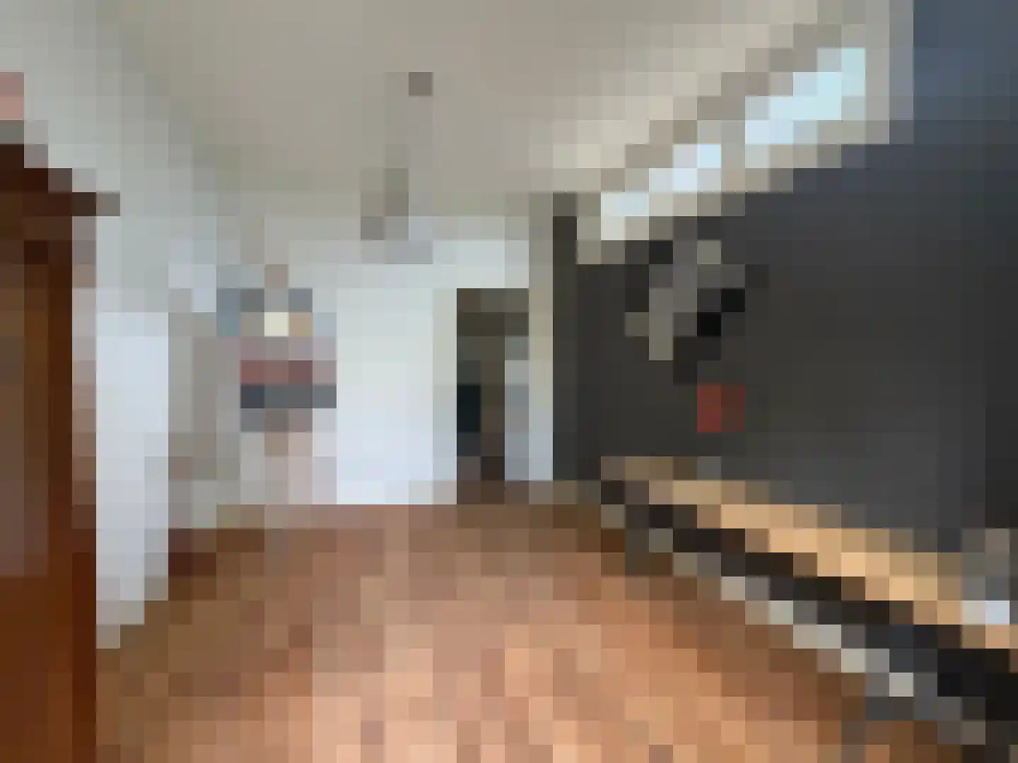 Voorstraat 22 Bad Nieuweschans thumbnail 7