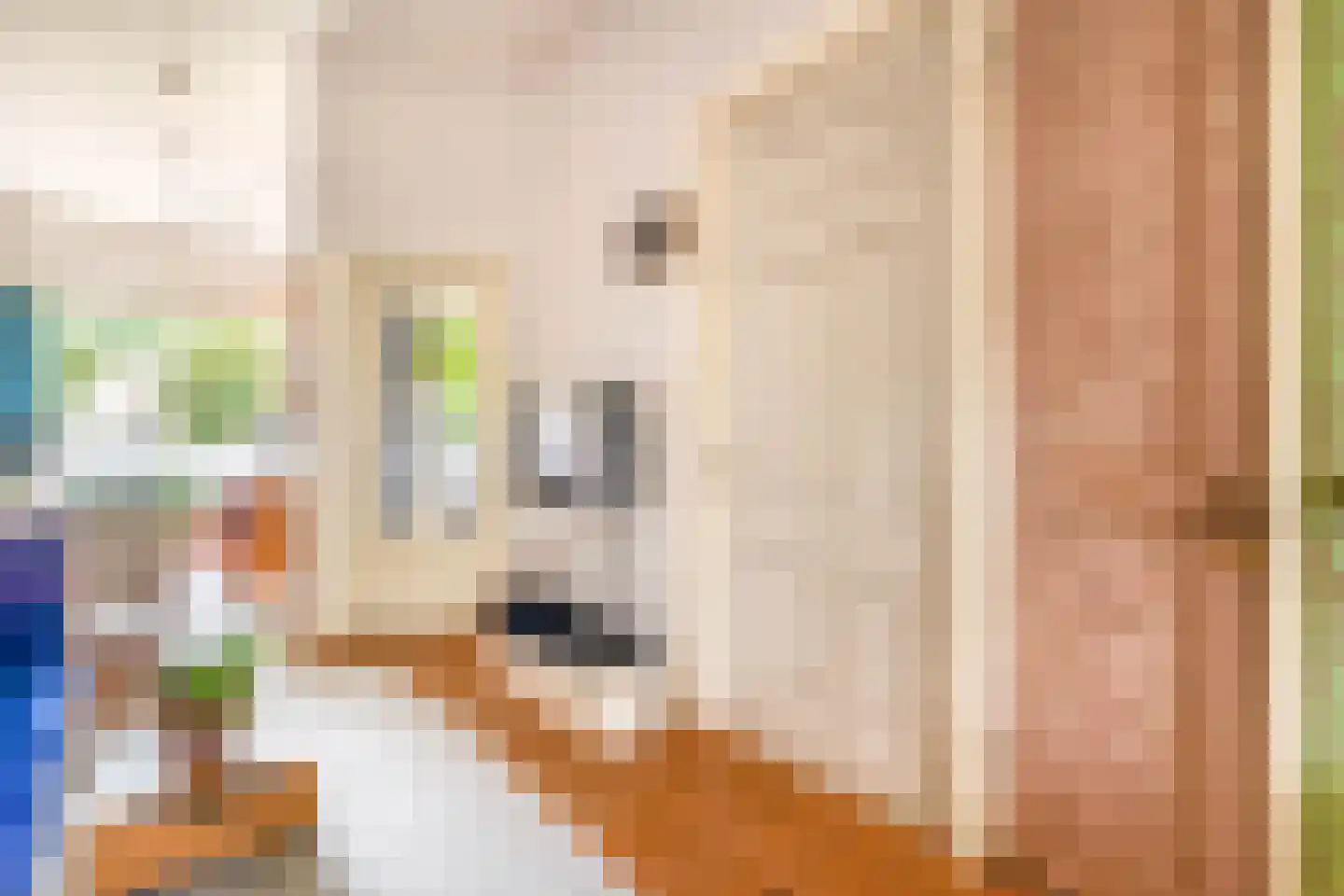 Voorstraat 22 Bad Nieuweschans thumbnail 7