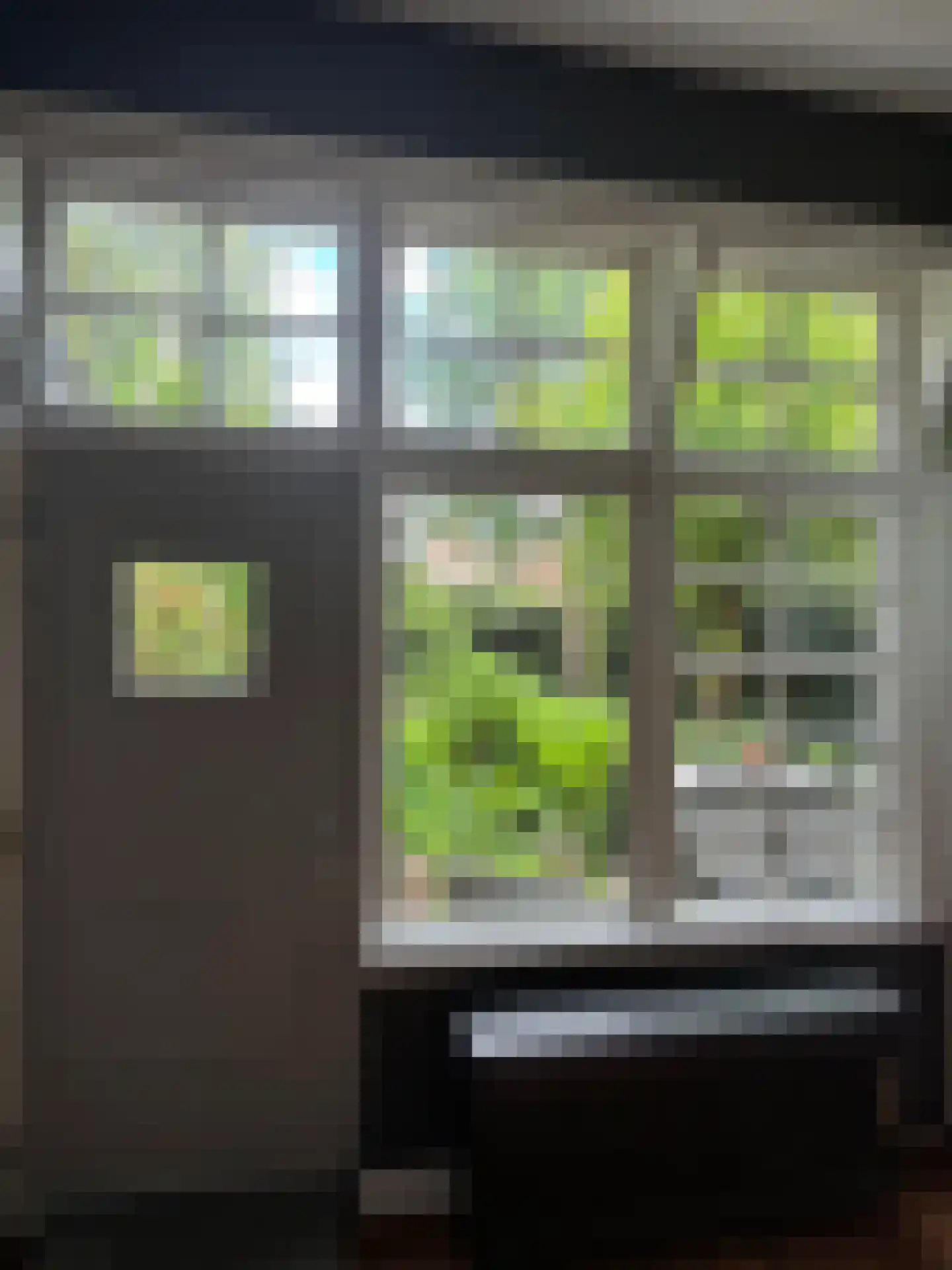 Voorstraat 22 Bad Nieuweschans thumbnail 8