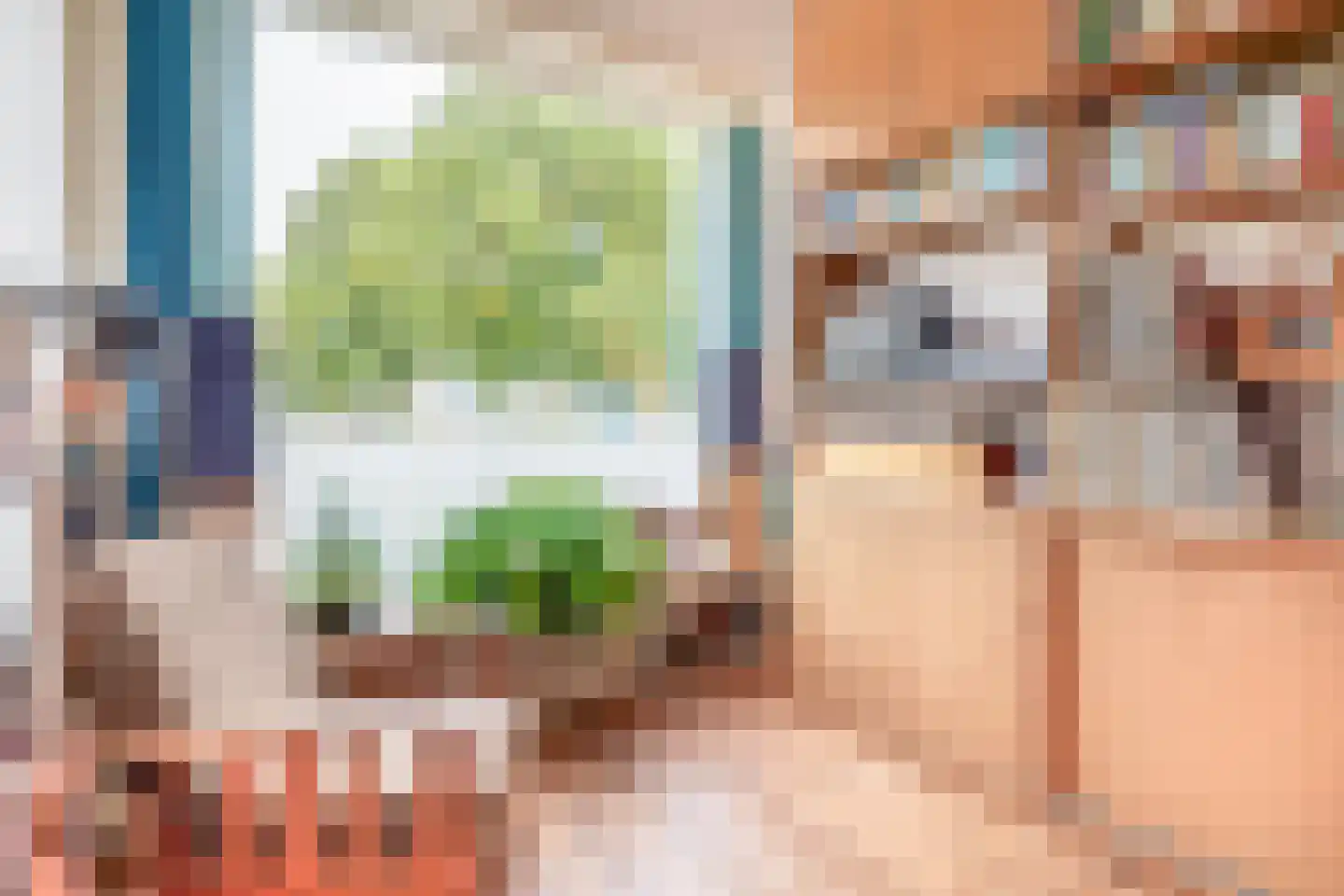 Voorstraat 22 Bad Nieuweschans thumbnail 8
