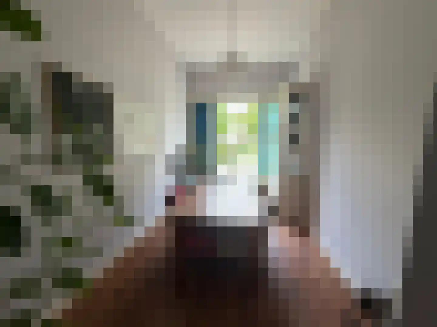 Voorstraat 22 Bad Nieuweschans thumbnail 9
