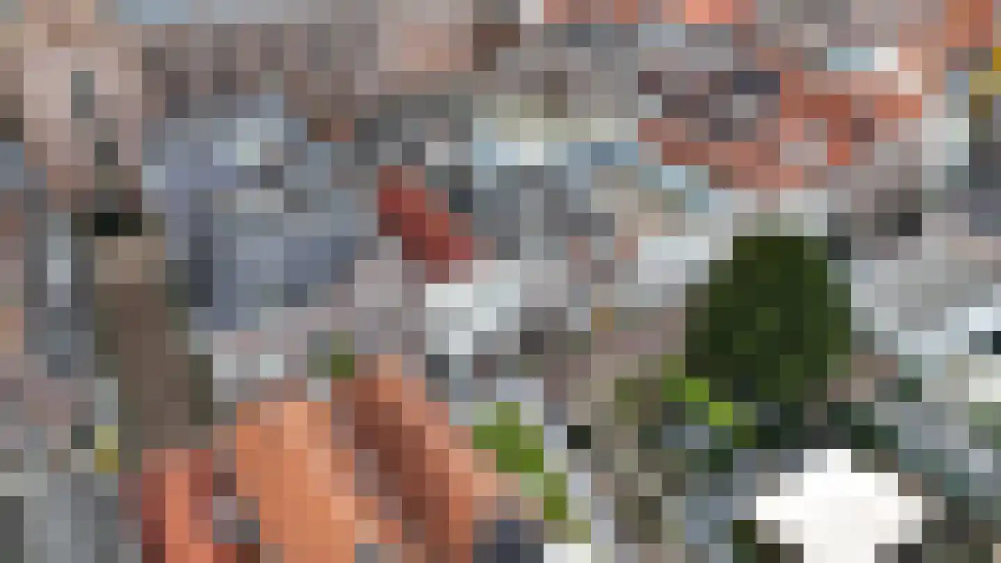 Voorstraat 23 A Zwolle thumbnail 25