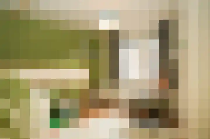 Voorstraat 23 Asperen thumbnail 19