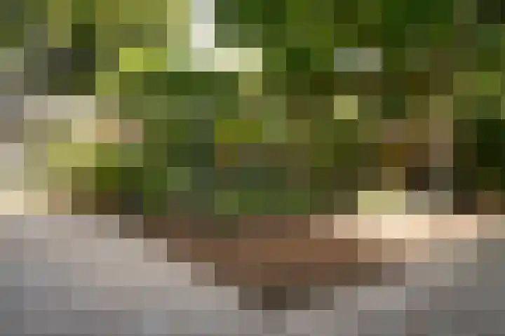 Voorstraat 23 Asperen thumbnail 29