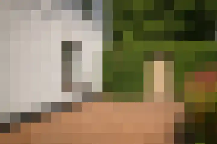 Voorstraat 23 Asperen thumbnail 31