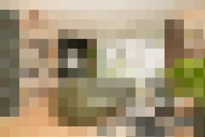 Voorstraat 23 Asperen thumbnail 7