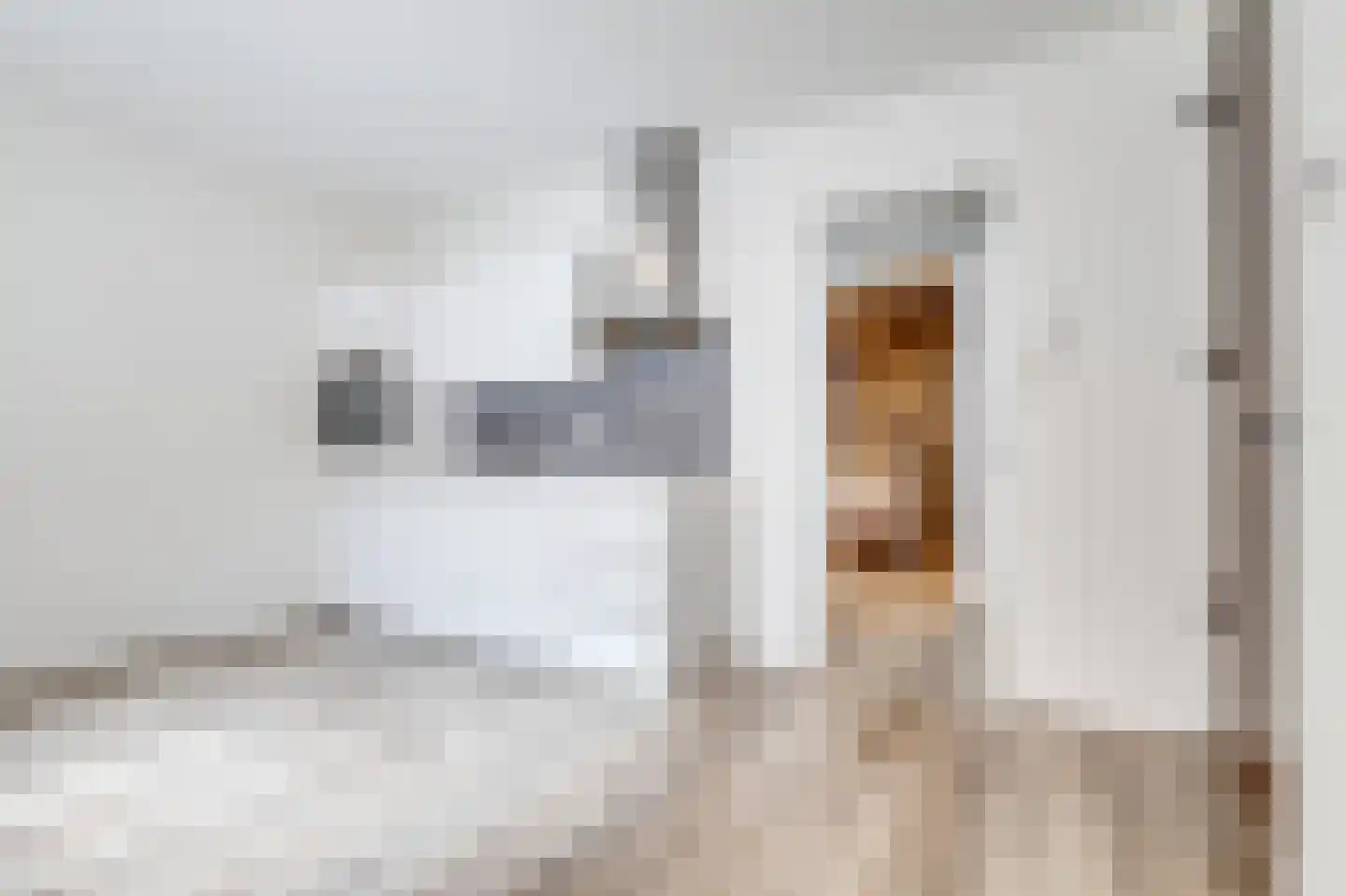Voorstraat 23 B Zwolle thumbnail 10