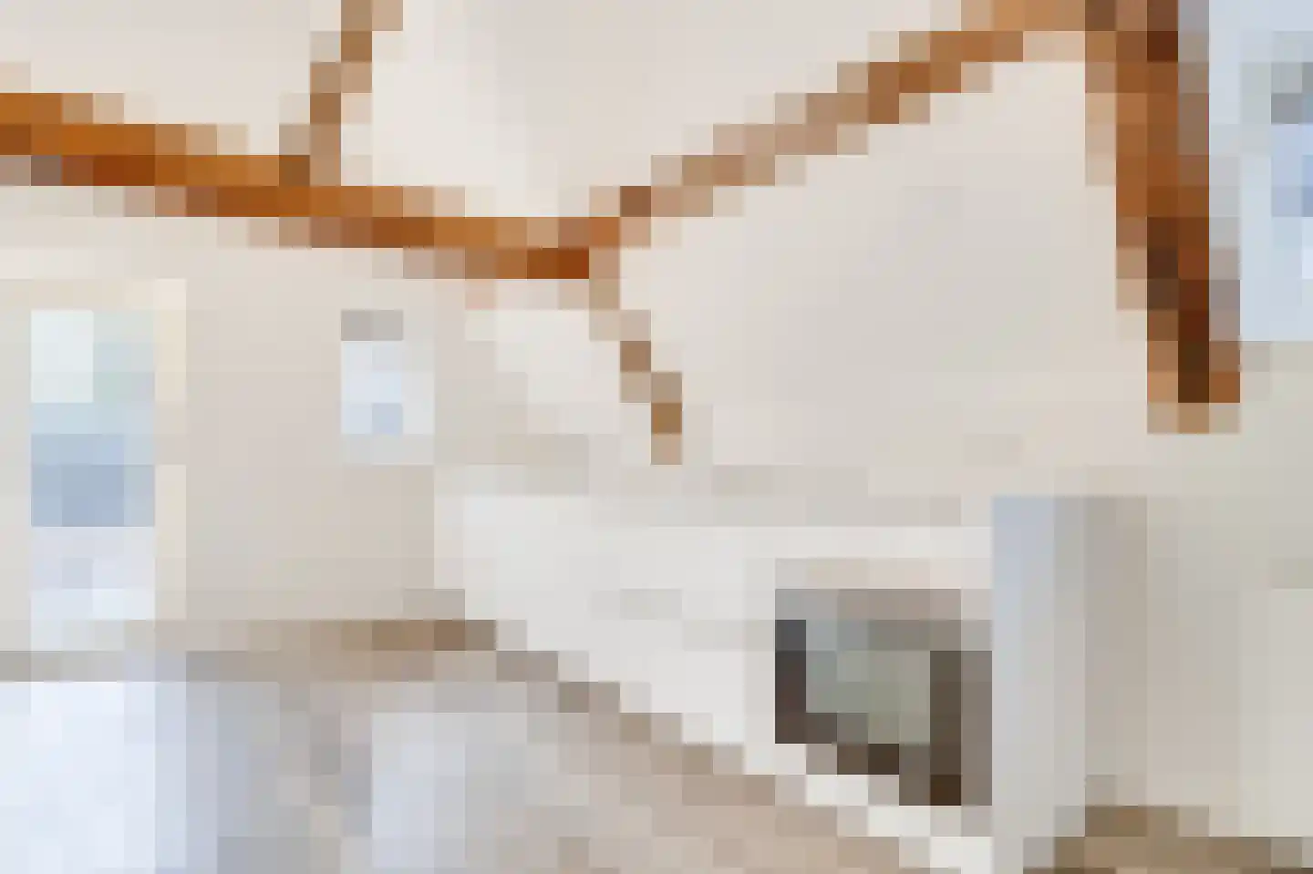 Voorstraat 23 B Zwolle thumbnail 11