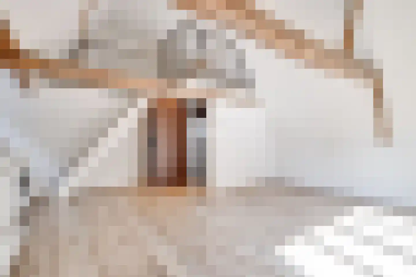 Voorstraat 23 B Zwolle thumbnail 12