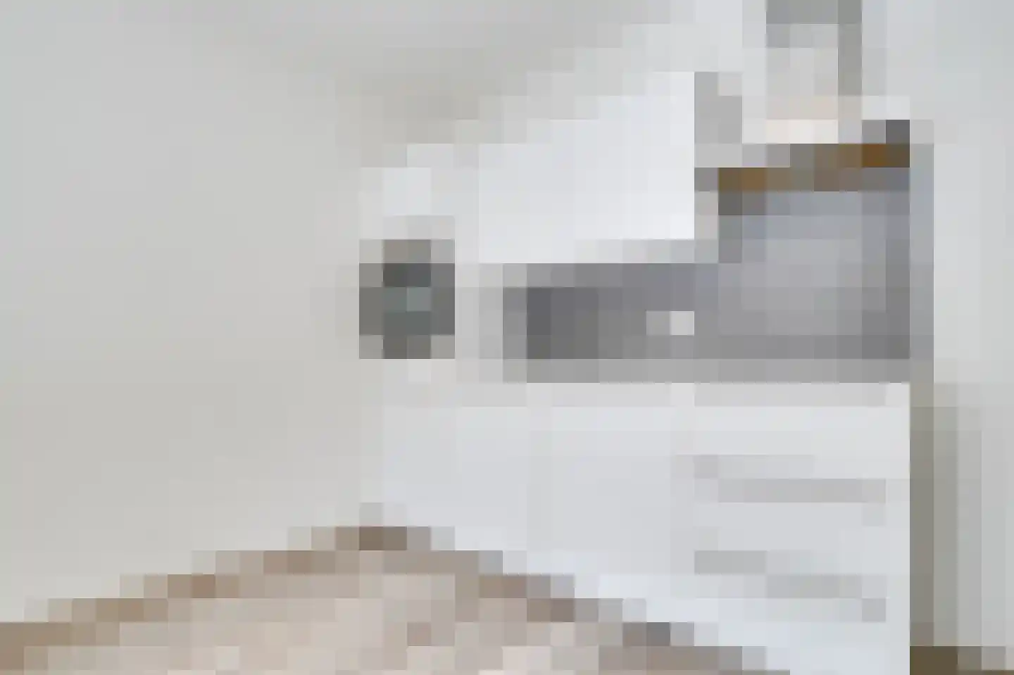 Voorstraat 23 B Zwolle thumbnail 13