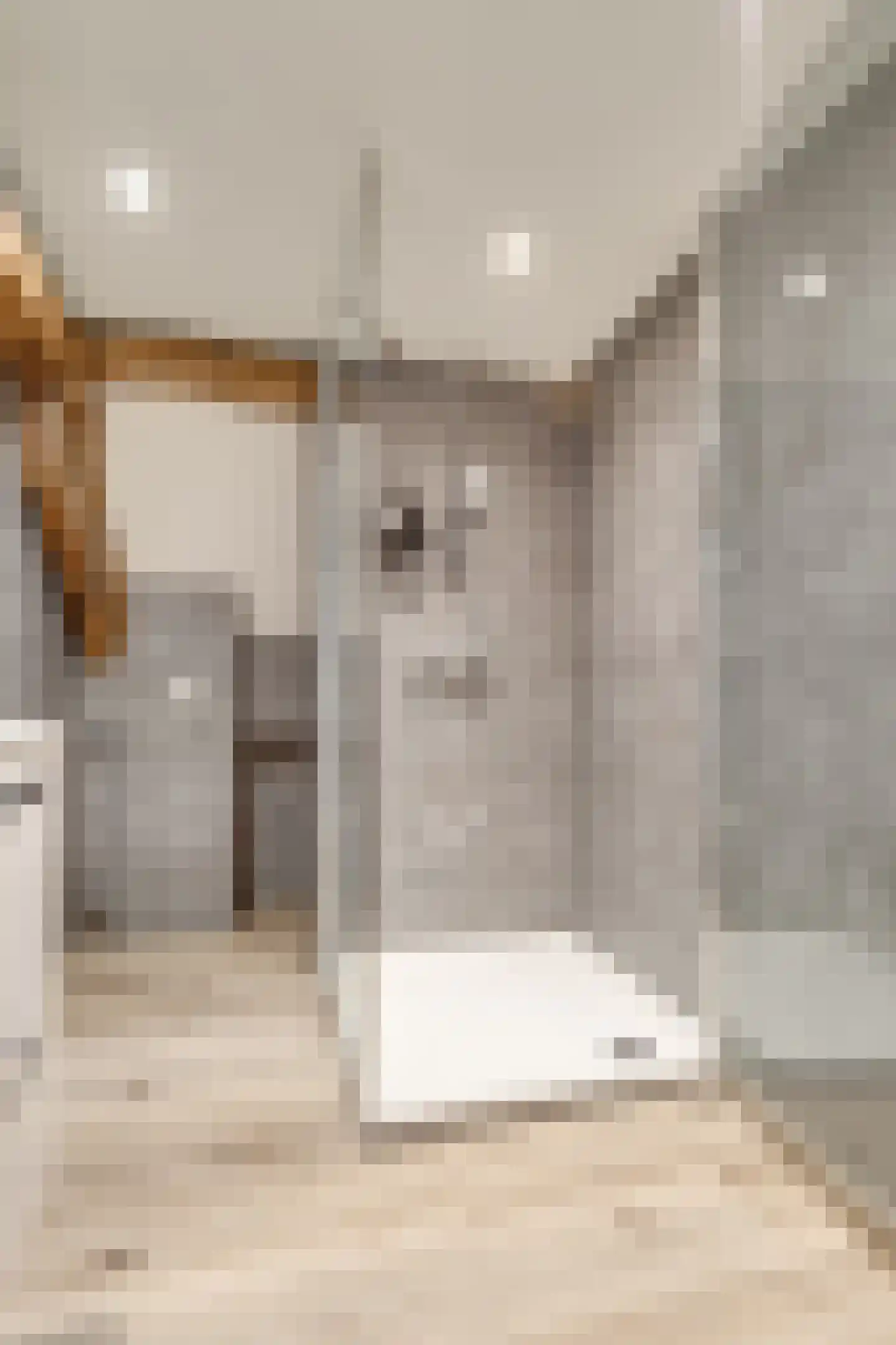 Voorstraat 23 B Zwolle thumbnail 18