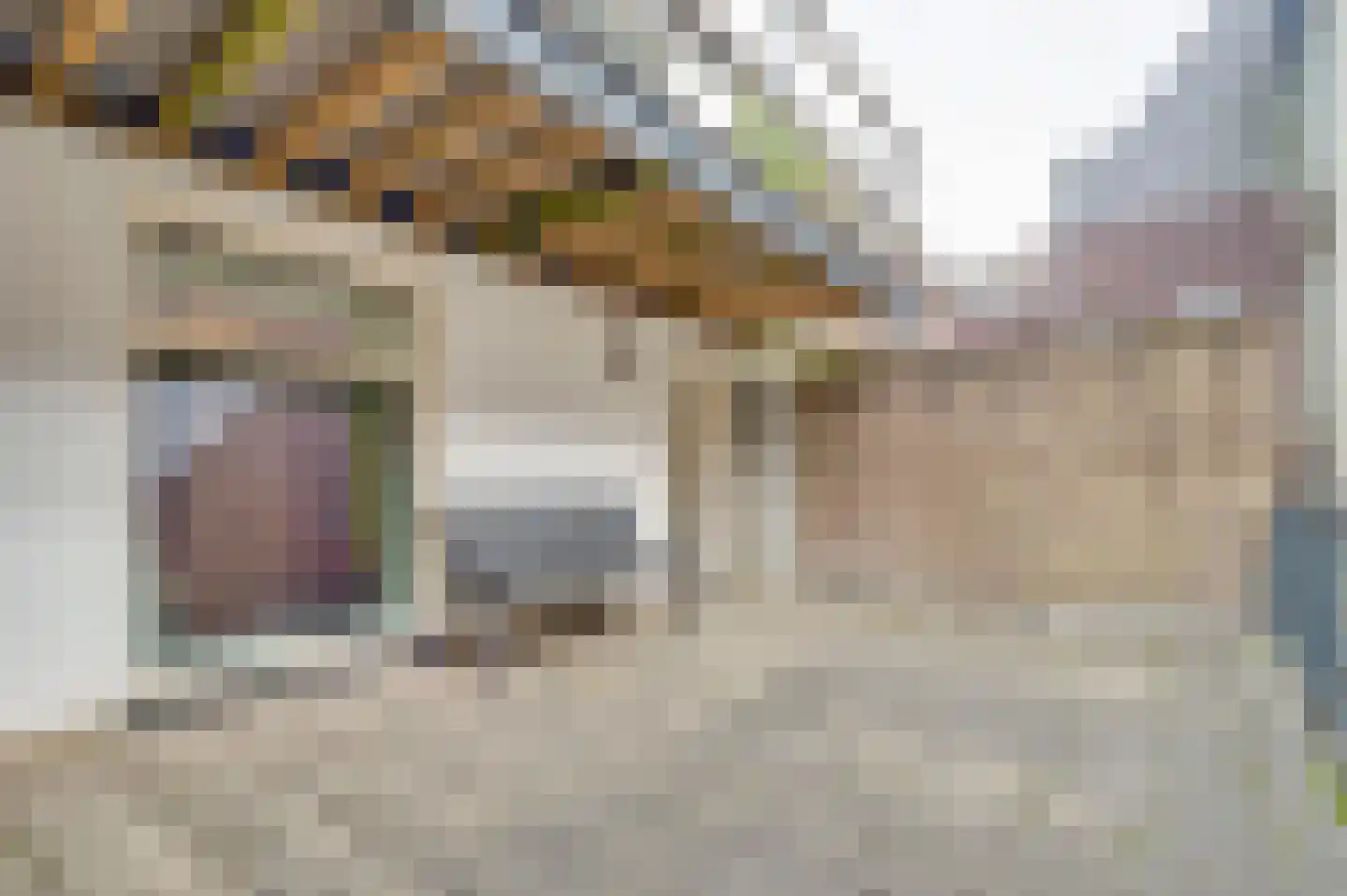 Voorstraat 23 B Zwolle thumbnail 21