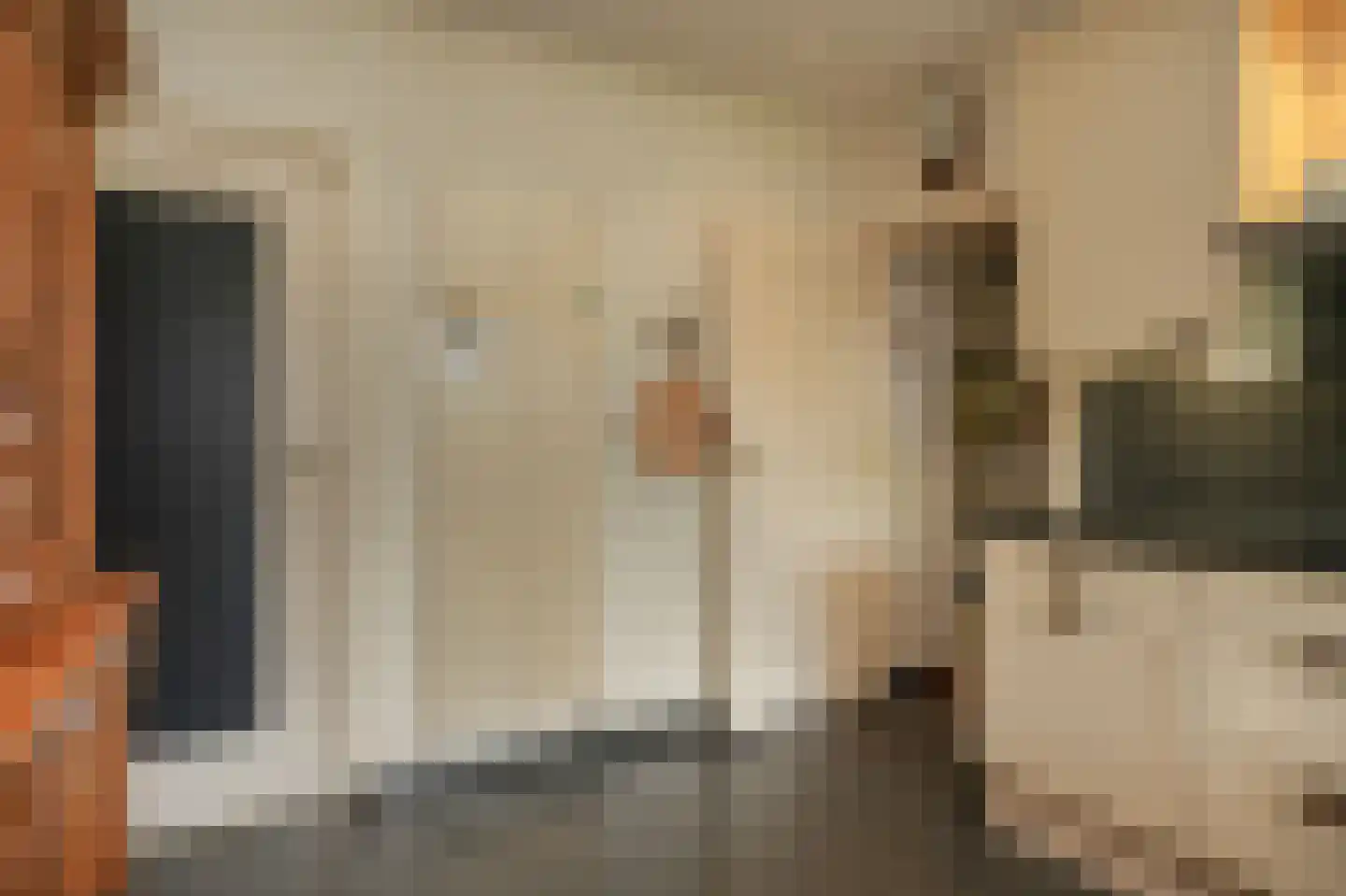 Voorstraat 23 Hedel thumbnail 19