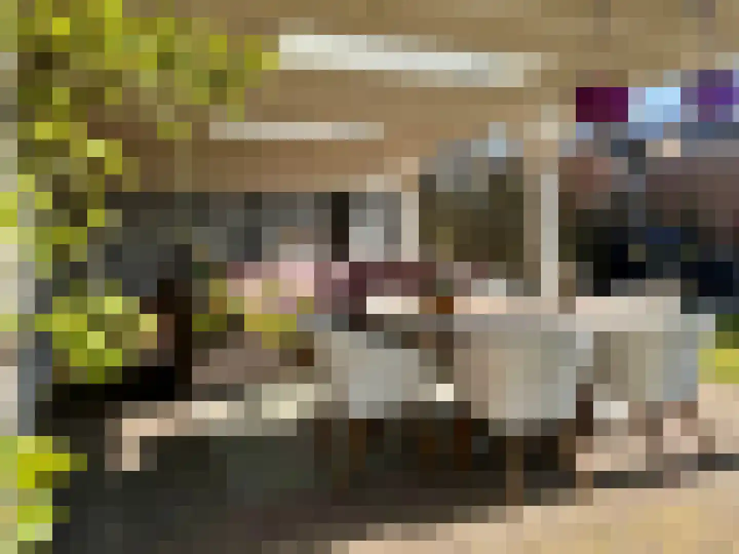 Voorstraat 23 Hedel thumbnail 20