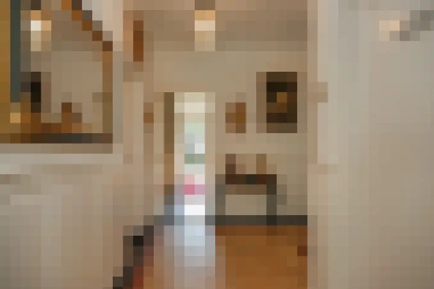Voorstraat 23 Hedel thumbnail 21