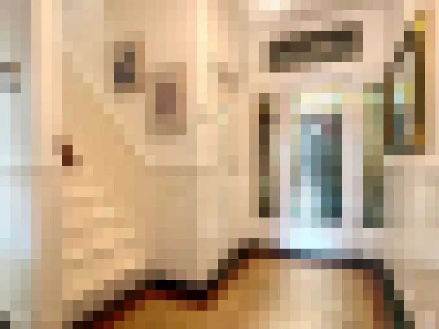 Voorstraat 23 Hedel thumbnail 25