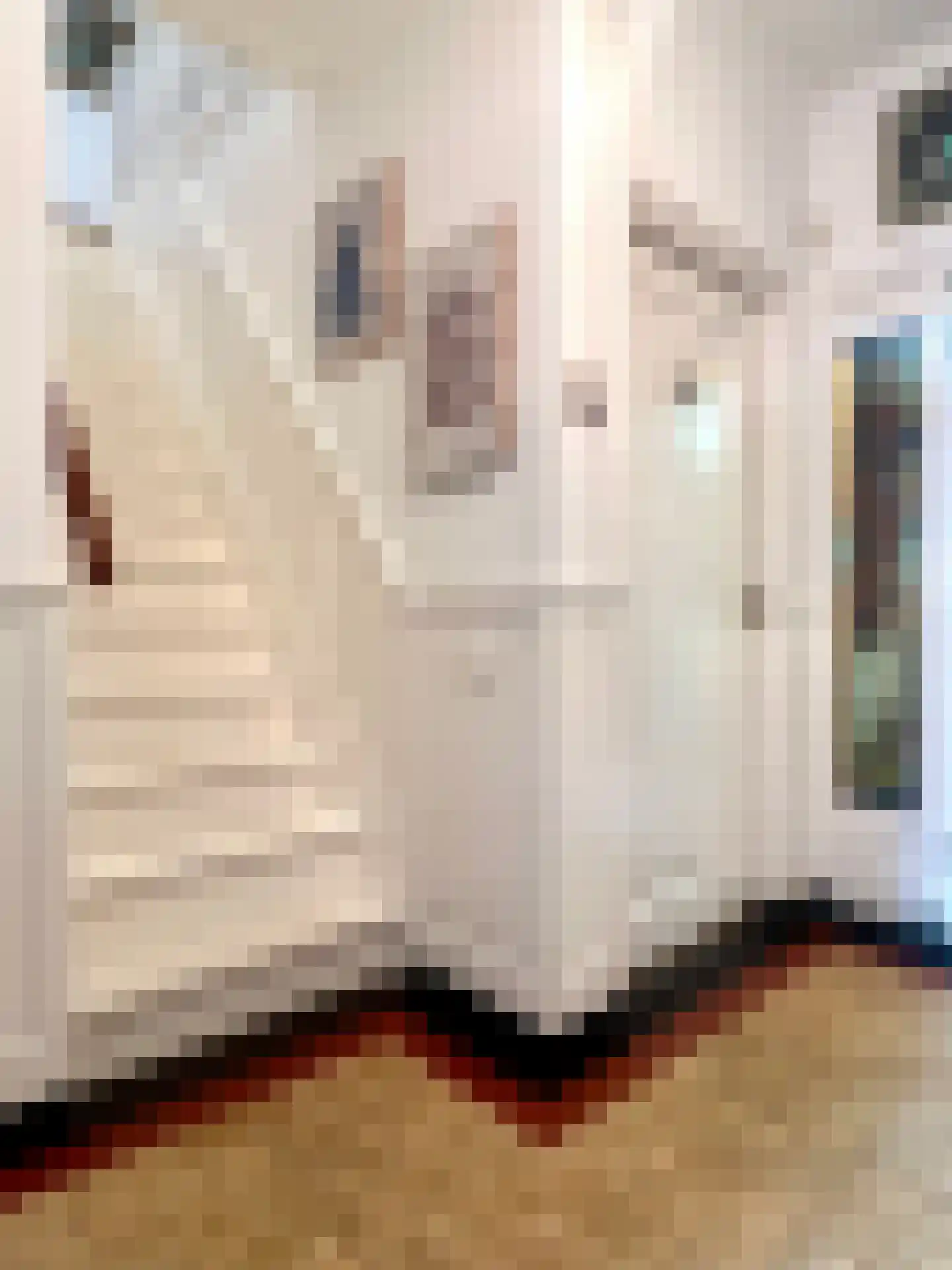 Voorstraat 23 Hedel thumbnail 26