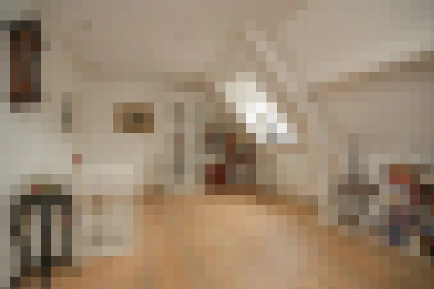 Voorstraat 23 Hedel thumbnail 27