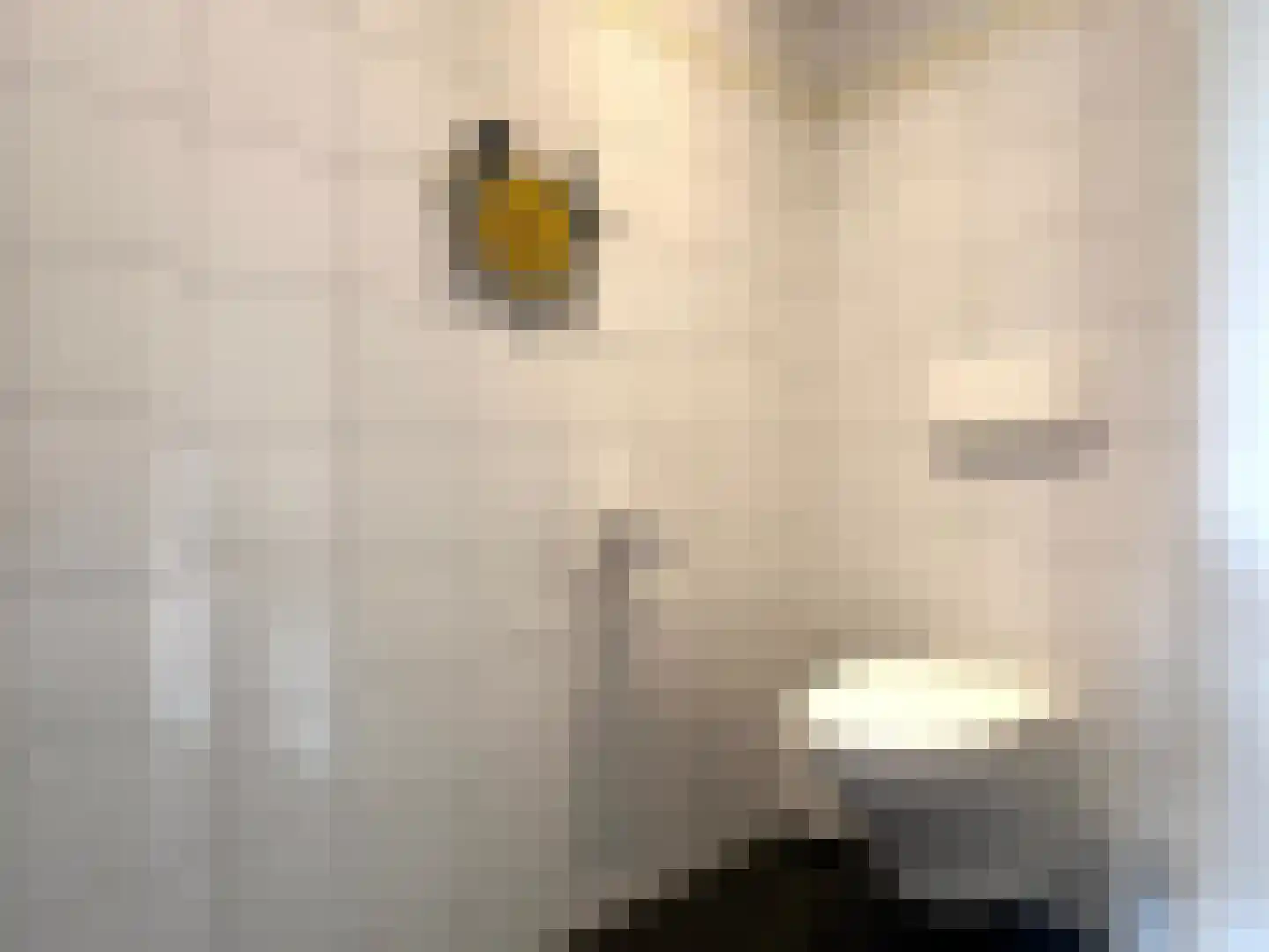 Voorstraat 23 Hedel thumbnail 32