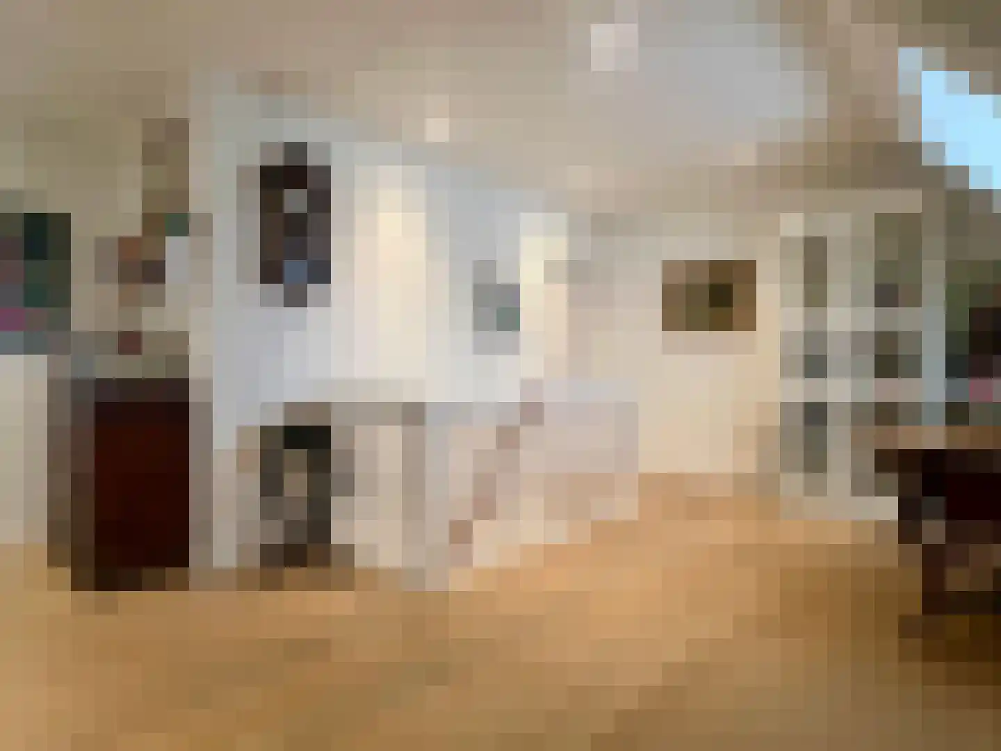 Voorstraat 23 Hedel thumbnail 33