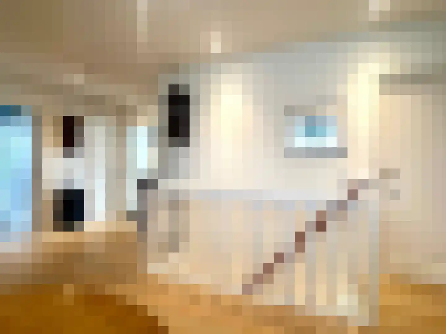 Voorstraat 23 Hedel thumbnail 34