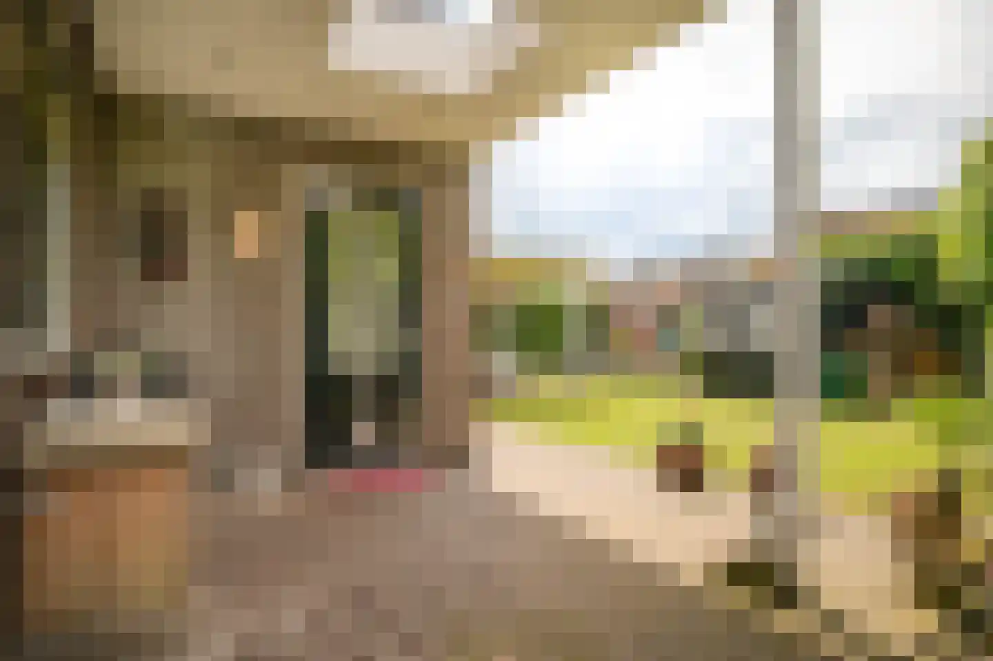 Voorstraat 23 Hedel thumbnail 35