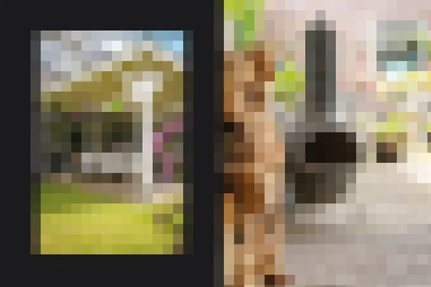 Voorstraat 23 Hedel thumbnail 36