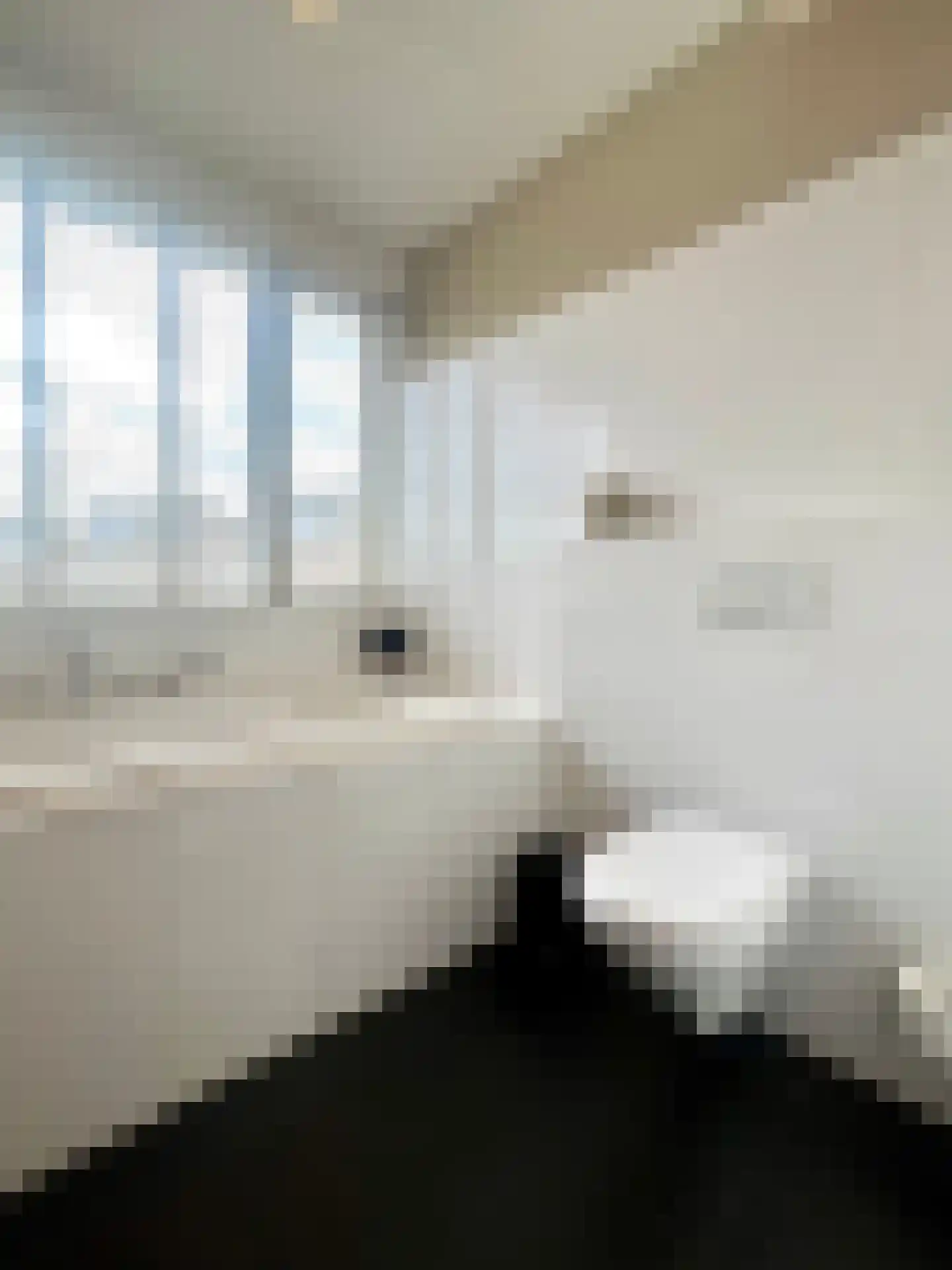 Voorstraat 23 Hedel thumbnail 39