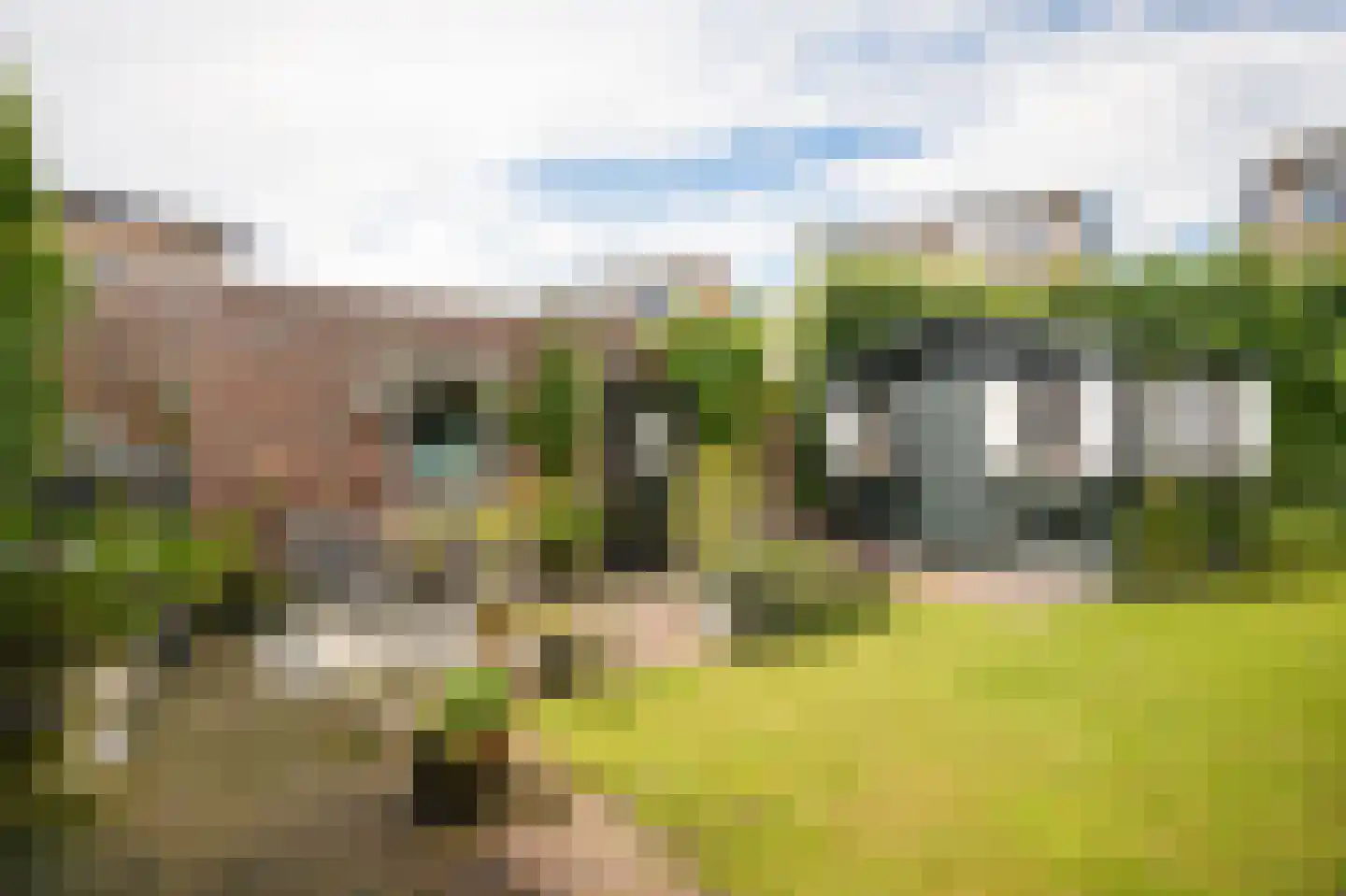 Voorstraat 23 Hedel thumbnail 43