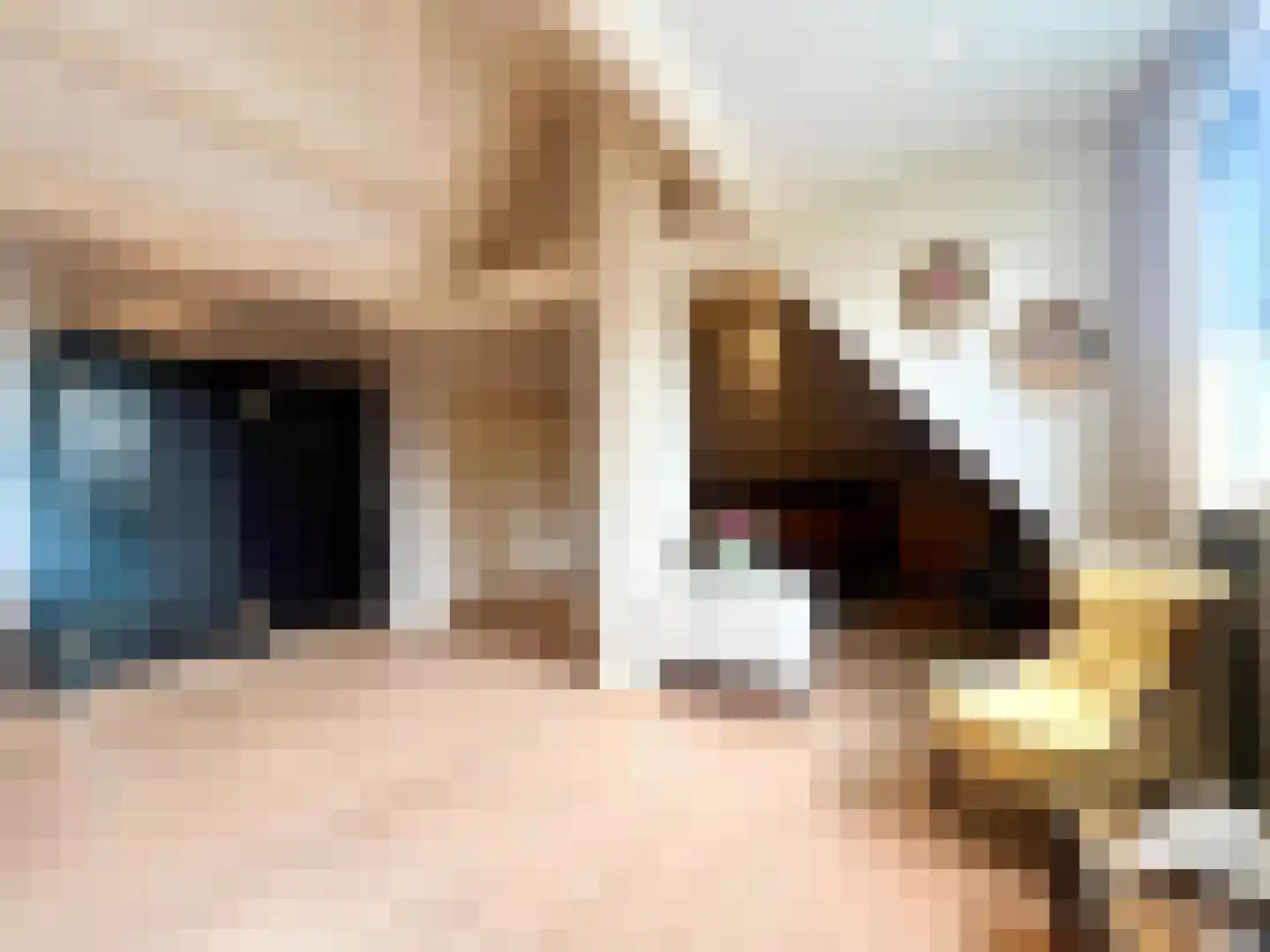 Voorstraat 23 Hedel thumbnail 43