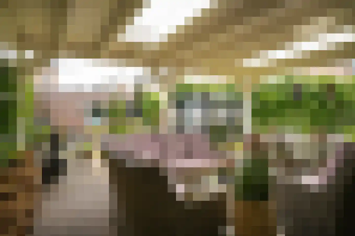 Voorstraat 23 Hedel thumbnail 45