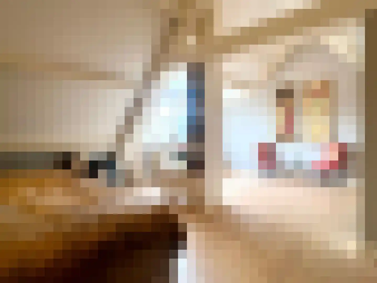 Voorstraat 23 Hedel thumbnail 46