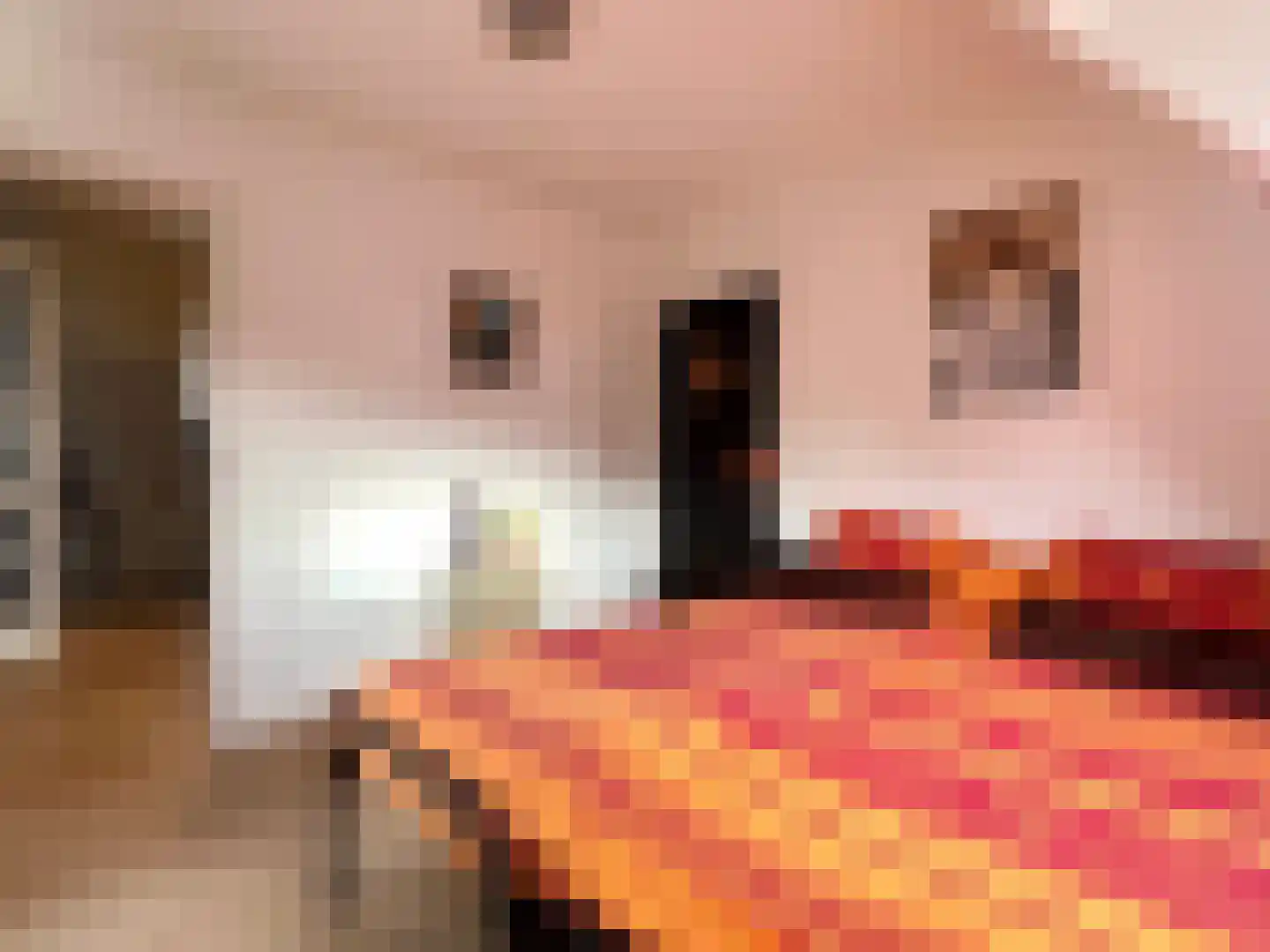 Voorstraat 23 Hedel thumbnail 48